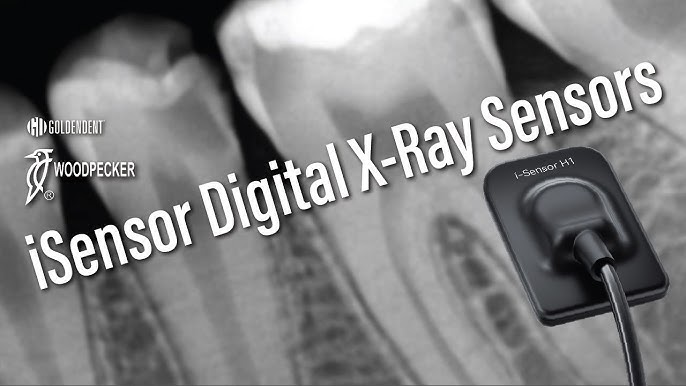 Woodpecker iSensor H1 digital dental X-ray sensor — approximately 90 percent less radiation than traditional film X-rays with instant high-contrast images at Frisco Dental Hub, Frisco TX 75035